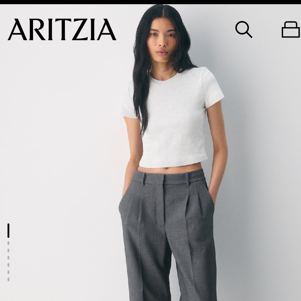 Aritzia Homestretch Rib Tune Waist T-Shirt